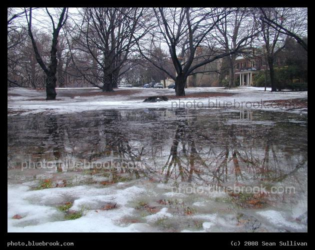 Longwood Mall - Longwood Mall park in winter, Brookline MA