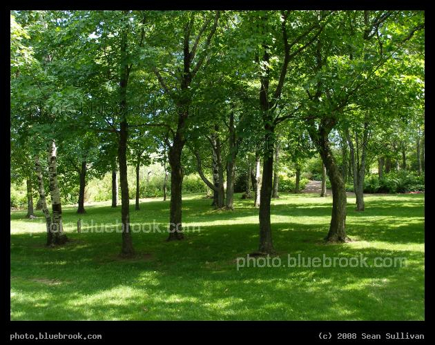 Enger Park - Trees and open spaces at Enger Park, Duluth MN