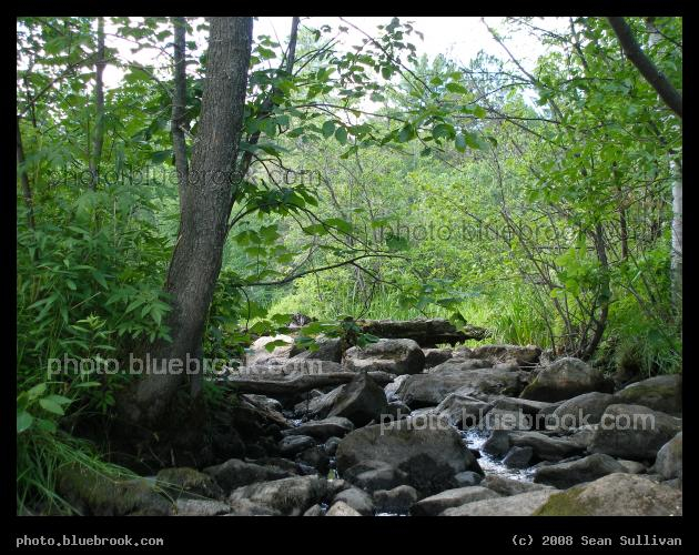 Overflow Channel - A channel near the Pike River, in northeast Minnesota, that sometimes carries excess water from the river, now just a trickle.