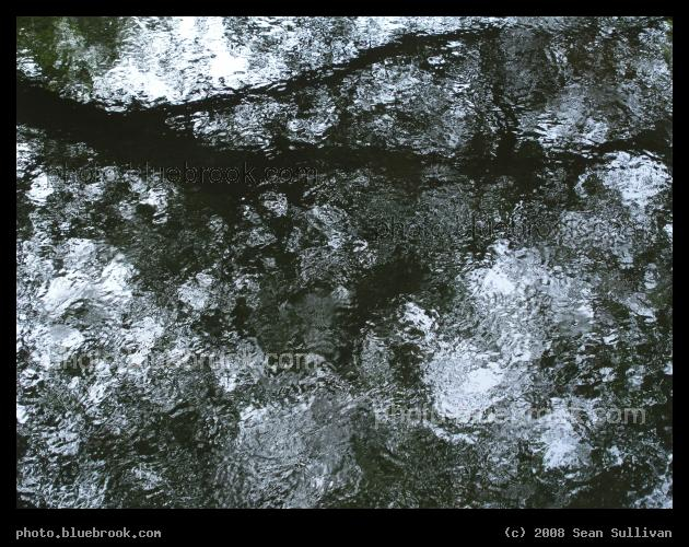 Rippled Reflections - Reflection of a tree in a stream between Warners Brook and the Assabet River, Concord MA