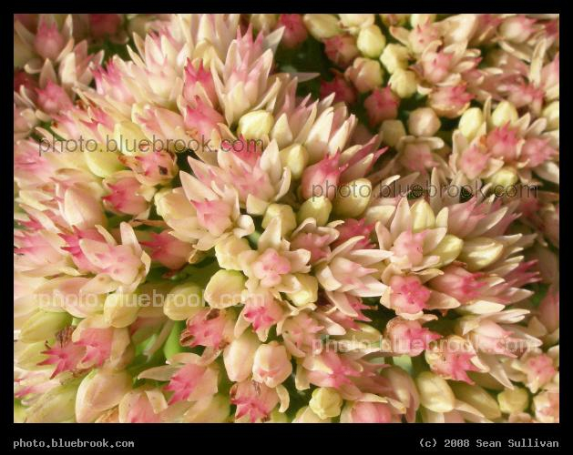 Meadow Glen - Medford, MA