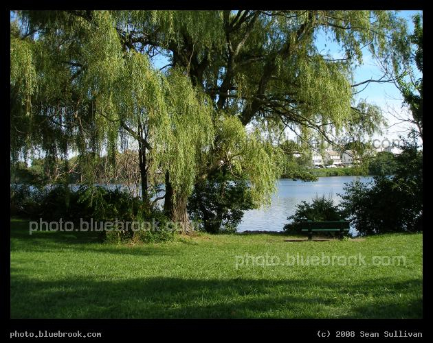 Macdonald Park - Mystic River Reservation, Medford MA