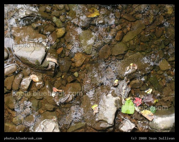 Rocky Stream - Victoria Park, Truro NS