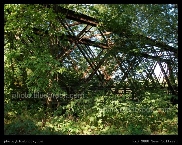 Norwottock in the Trees - A bridge crossing the Connecticut River on the Norwottock Rail Trail (a pedestrian and bicycle path) near Northampton, MA