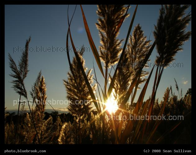 Autumn Sunset - Mystic Valley Reservation, Medford MA