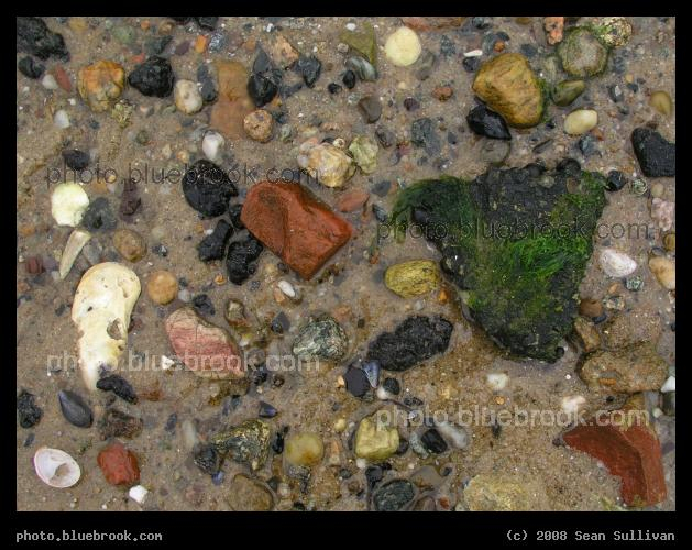 Treasure Chest - On the beach, Provincetown MA