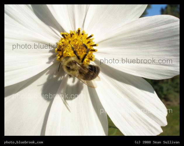 Feast - Cambridge MA