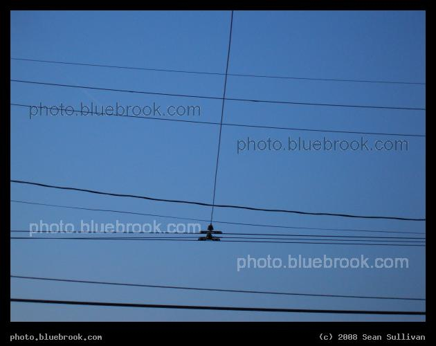 Belmont Wires - Wires over Belmont St providing power for an electric bus, Belmont MA