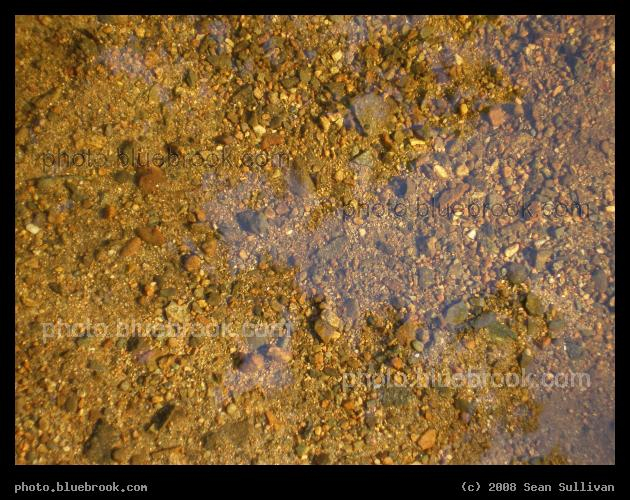 Riverbed - Pebbles in the Charles River, near the shoreline at Riverside Park, Newton MA