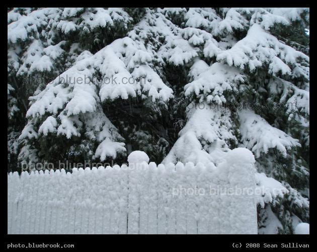 Not Florida - After a snowstorm, Somerville MA