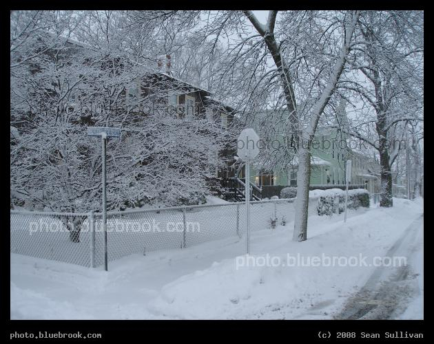 Webster Street - After a snowstorm, Somerville MA