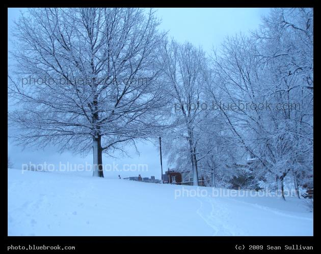 Tinted Blue - Dusk lighting on newly fallen snow near the Bunker Hill Monument, Charlestown MA