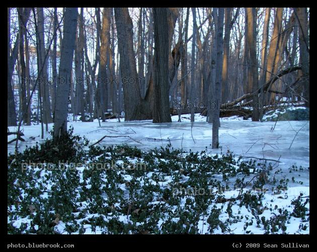 Icy Ground - A winter evening in the Middlesex Fells Reservation, Medford MA