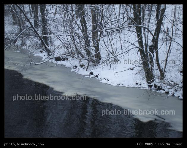 Watertown Shoreline - South bank of the Charles River, Watertown MA