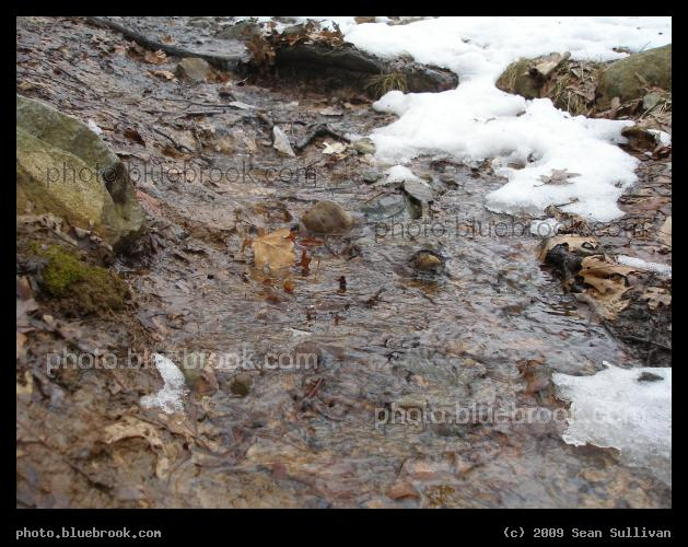 Spring Melt - Middlesex Fells Reservation, Melrose MA