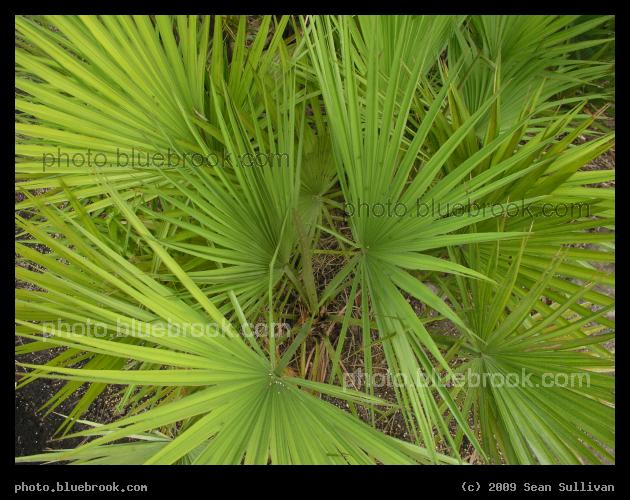 Palmetto Cluster - Miami FL