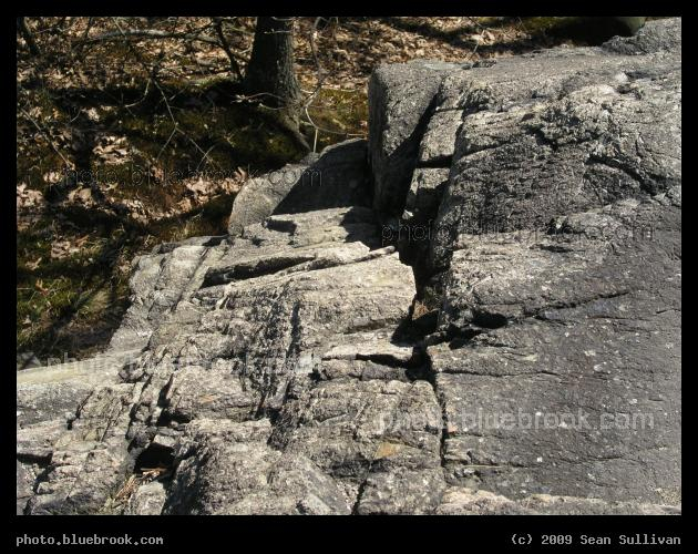 Atop the Rock - Pine Banks park, Malden/Melrose MA