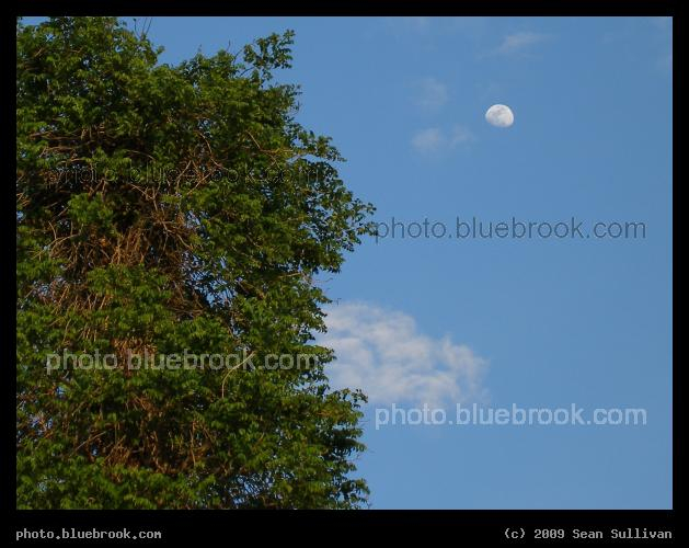 Moon over Longview - Longview, TX