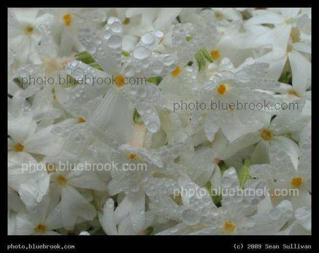 Refreshing - Somerville MA