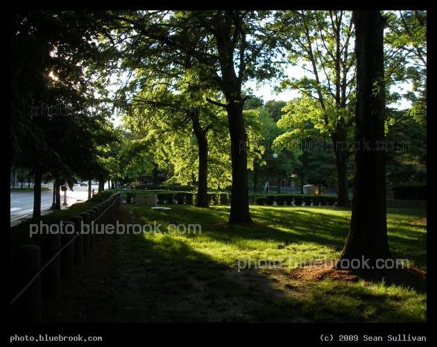 Slanting Shadows on the Lawn - Near Kendall Square, Cambridge MA