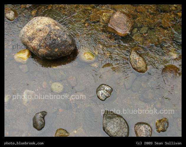 Stream in the Rain - A stream during a rainshower at Look Park, Northampton MA