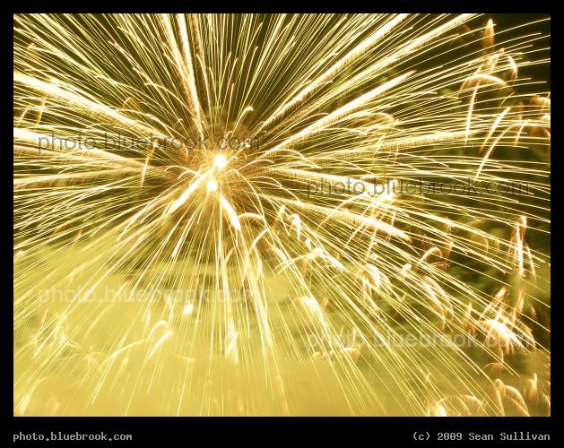 Golden Starburst - Boston