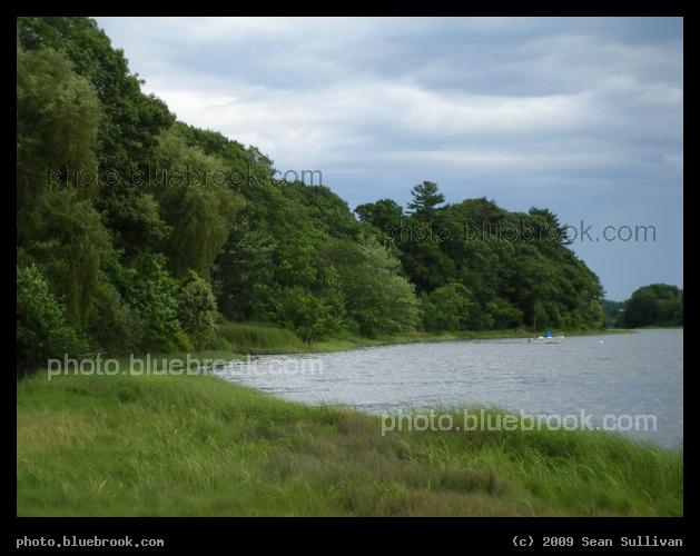 Fore River Shoreline - Near the Fore River Trail segment of the Portland Trails, Portland ME
