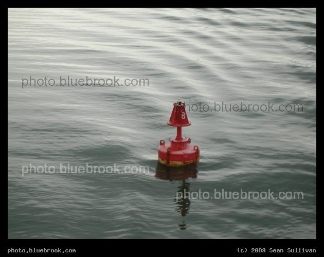 Buoy Eight - Hingham Bay, Massachusetts