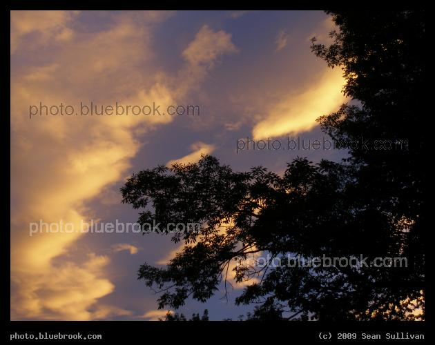 Sharon Sunset - Sharon MA