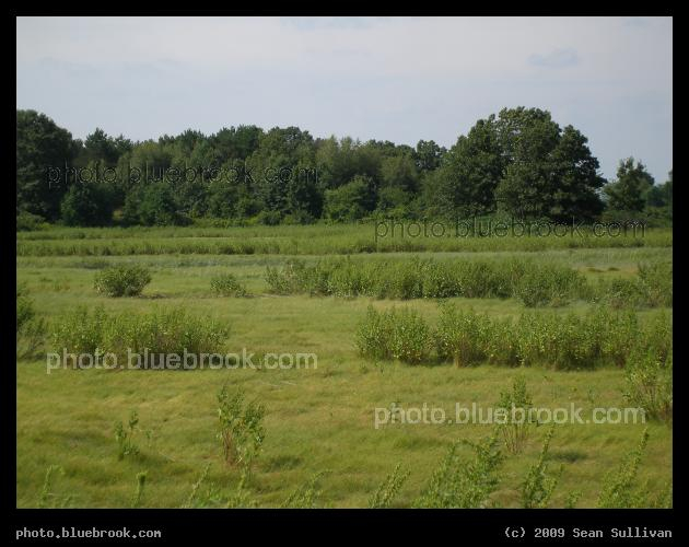Merrymount Fields - Merrymount Park near Blacks Creek, Quincy MA