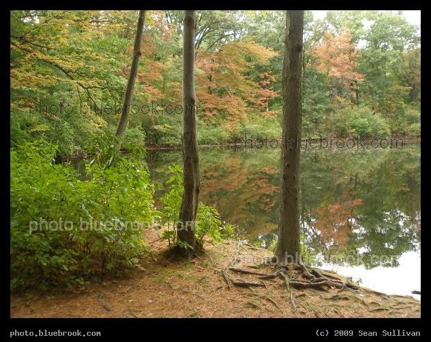 Station Pond - Adjacent to the Wellesley Farms MBTA station, Wellesley MA