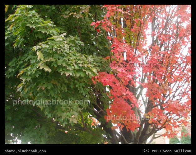 The Approach of Autumn - West Springfield, MA