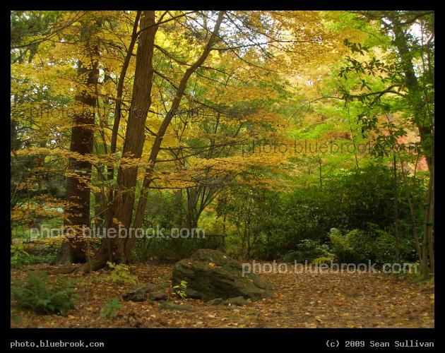 Peaceful Afternoon - Houghton Garden, Newton MA