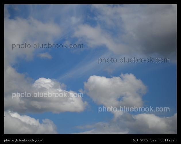 Fine Day - Somerville MA