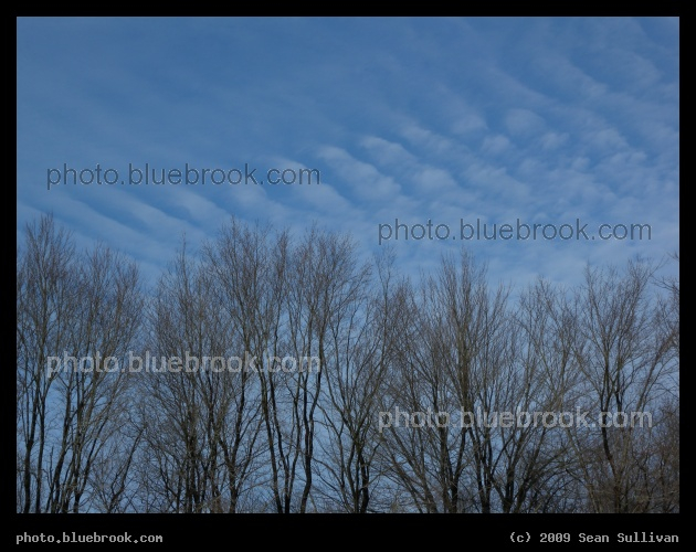 Painting the Sky - Hadley MA