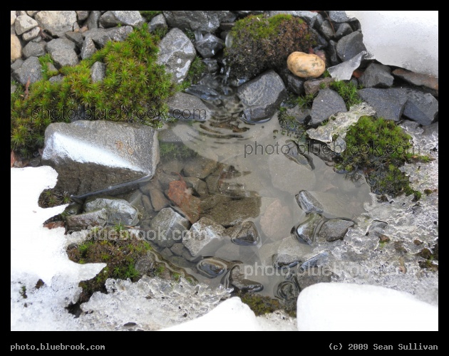 Transitions - Hadley MA