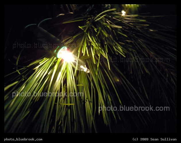 Christmas Illumination - Back Bay district, Boston MA