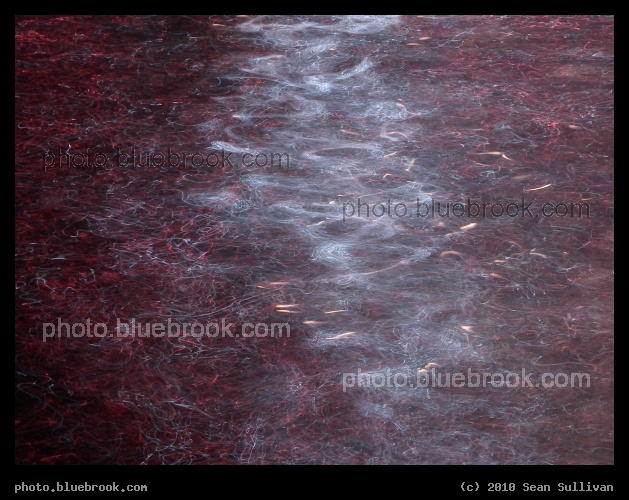 Fishies of Light - Reflection of midnight fireworks in the water at Boston Harbor