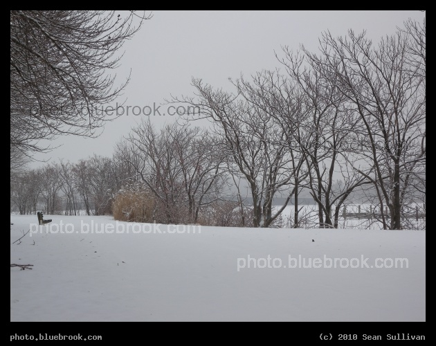 Fresh Snow on the Path - Walkway at the Mystic River Reservation, Somerville MA