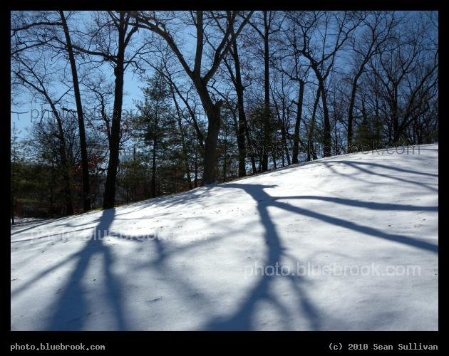 Blue Shadows - Newton MA