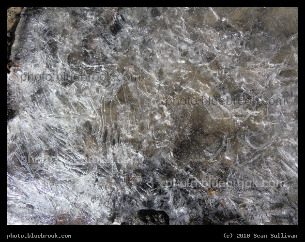Lacework Sheet of Ice - At Elliott Street, Chandler Hill Park, Worcester MA