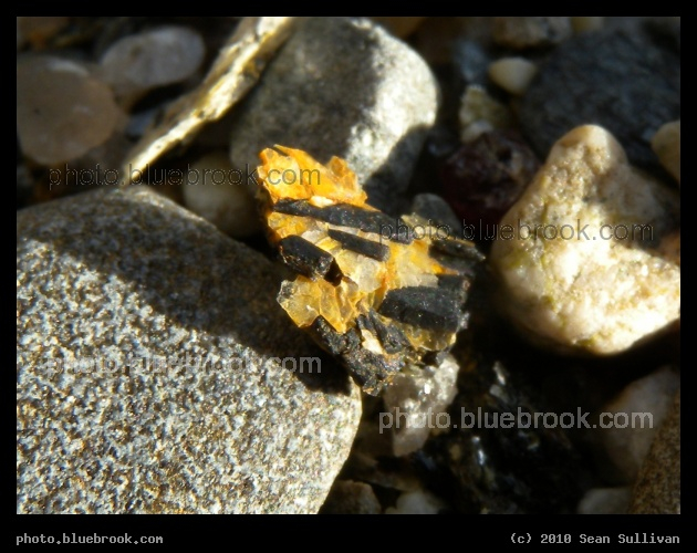 Tangerine and Black Crystals - Lowell MA