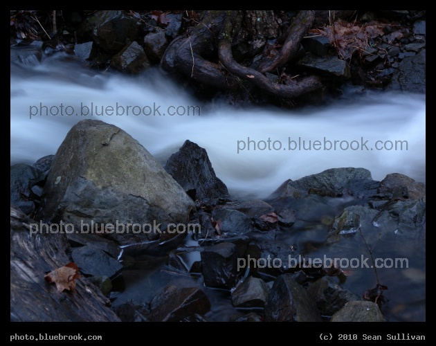 Spring Stream - A stream below the Cascades waterfall in the Middlesex Fells Reservation, Melrose MA