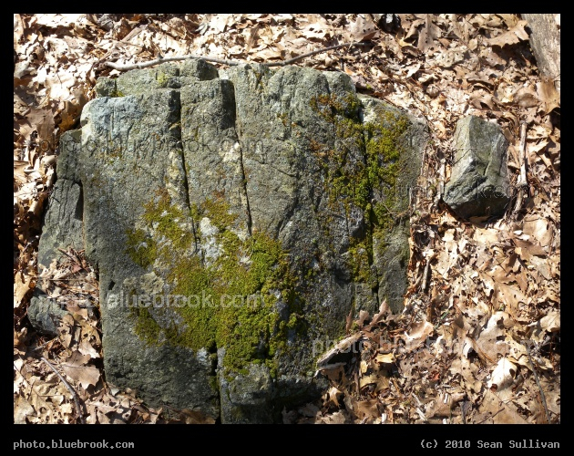 Not Rolling - Middlesex Fells Reservation, Melrose MA