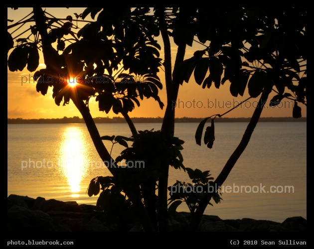 Tropical Orange Glow - Sunset from the Eau Gallie Causeway, Melbourne FL