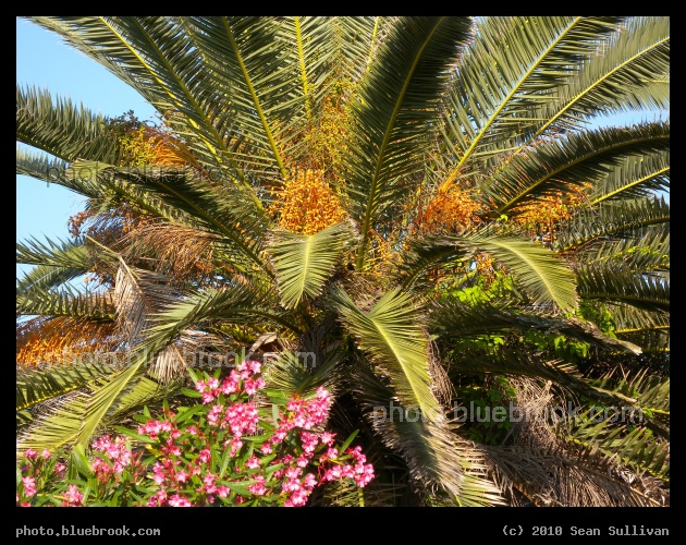 Tropics - Satellite Beach, FL