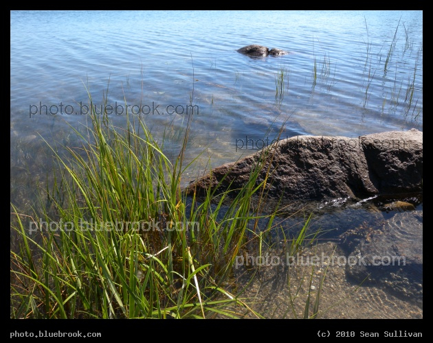 Essex Waterline - Essex MA