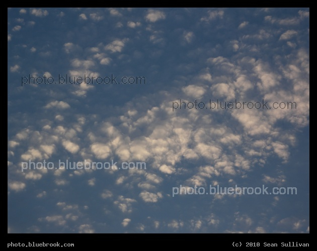 Cloud Petals - Near sunset, Medford MA