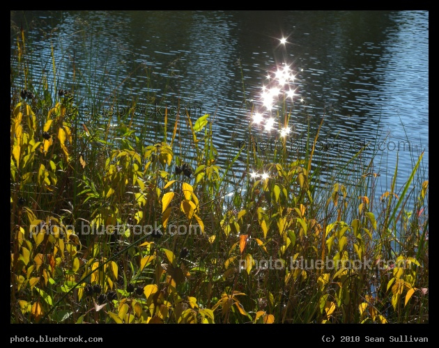 Sunglints at Turtle Pond - Turtle Pond in Central Park, New York City