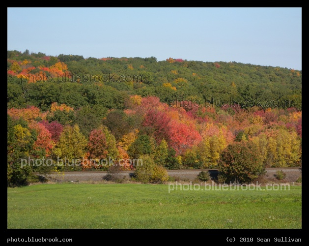 Grafton Hillside - A hillside above the MBTA commuter rail tracks, Grafton MA